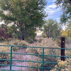 Meet your Posher, Dennis